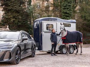 Touring One Single Horse Trailer